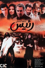 The Boss 2007 one on netflix