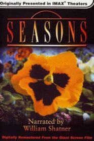 Seasons 1987 one on netflix