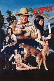 Gypsy 1990 one on netflix
