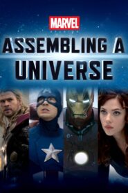 Marvel Studios: Assembling a Universe 2014 one on netflix