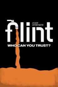 Flint 2020 one on netflix