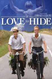 A Love to Hide 2005 one on netflix