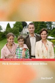 Pik & Amadeus – Freunde wider Willen 2006 one on netflix