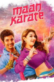 Maan Karate 2014 one on netflix