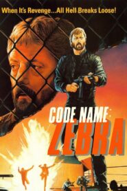 Code Name: Zebra 1987 one on netflix