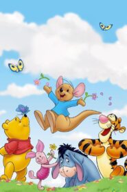 Winnie the Pooh: Springtime with Roo 2004 one on netflix