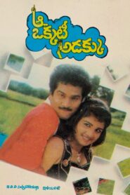 Aa Okkati Adakku 1992 one on netflix