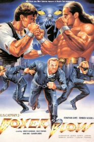 U.S. Catman 2: Boxer Blow 1989 one on netflix