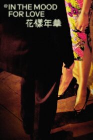 @ in the mood for love 2000 one on netflix