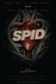 SPID 2016 one on netflix