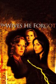 The Wives He Forgot 2006 one on netflix