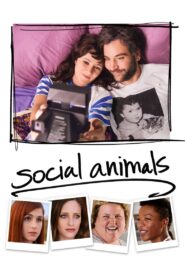 Social Animals 2018 one on netflix