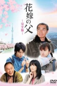 Father of the Bride 2012 one on netflix