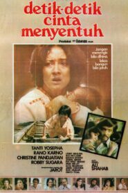 Detik Detik Cinta Menyentuh 1981 one on netflix