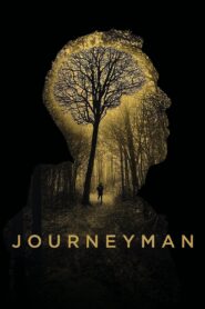 Journeyman 2018 one on netflix