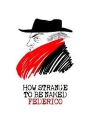 How Strange to be Named Federico 2013 one on netflix