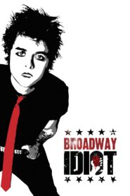 Broadway Idiot 2013 one on netflix
