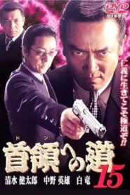 Road to the Don 15 2001 one on netflix