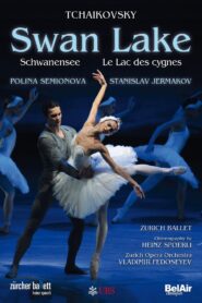 Swan Lake 2010 one on netflix
