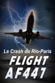 Vol AF 447, Le crash du Rio-Paris 2015 one on netflix