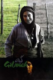 Gilaneh 2005 one on netflix