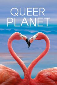 Queer Planet 2023 one on netflix