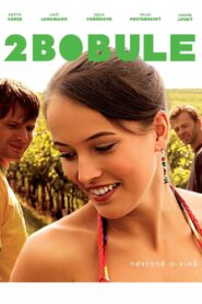 Grapes 2 2009 one on netflix