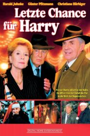 Letzte Chance für Harry 1998 one on netflix