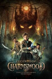 Legends of Charmswood 2022 one on netflix