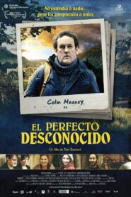 The Perfect Stranger 2011 one on netflix
