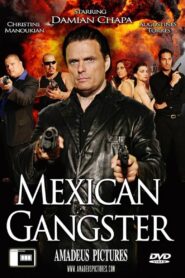 Mexican Gangster 2008 one on netflix