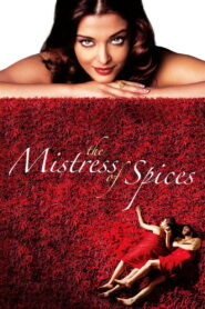 The Mistress of Spices 2005 one on netflix