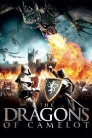 The Dragons of Camelot 2014 one on netflix