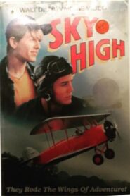 Sky High 1990 one on netflix