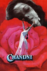 Chandni 1989 one on netflix