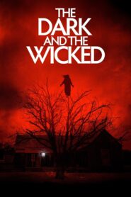 The Dark and the Wicked 2020 one on netflix