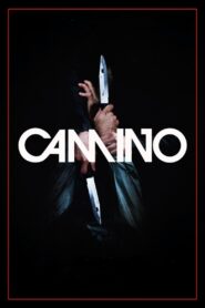 Camino 2016 one on netflix
