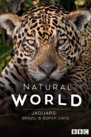 Jaguars: Brazil’s Super Cats 2016 one on netflix