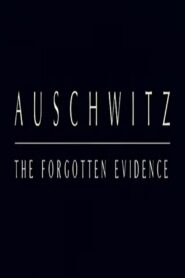 Auschwitz: The Forgotten Evidence 2004 one on netflix