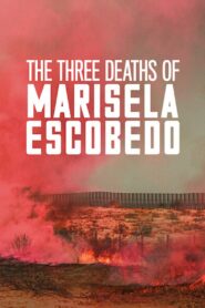 The Three Deaths of Marisela Escobedo 2020 one on netflix
