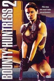 Sexual Temptations 2001 one on netflix