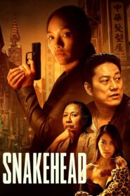 Snakehead 2021 one on netflix
