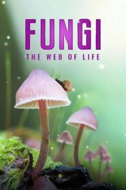 Fungi: The Web of Life 2023 one on netflix