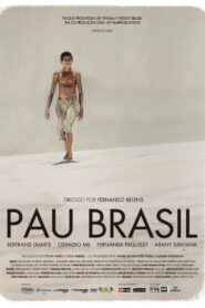 Pau Brasil 2014 one on netflix