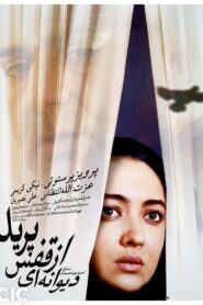 The Insane Flew Away 2003 one on netflix