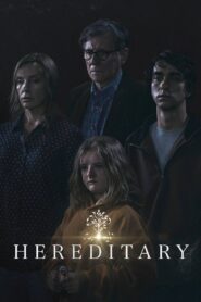 Hereditary 2018 one on netflix