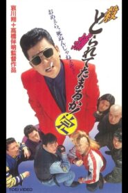 Can you collect it? Complete 1994 one on netflix