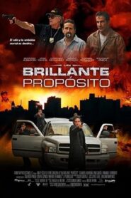 A Bright Purpose 2009 one on netflix