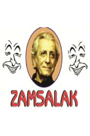 Zamsalak 2005 one on netflix