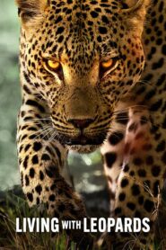 Living with Leopards 2024 one on netflix